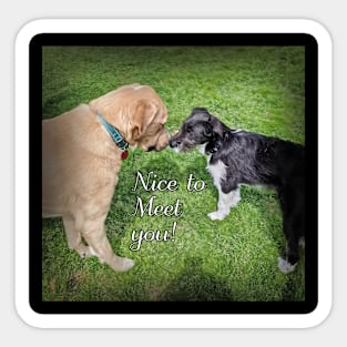 Nice to meet you Puppies Sticker